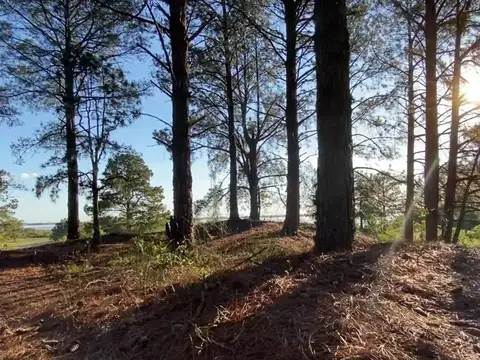 TERRENO DE 2505m2 EN CARMELO URUGUAY