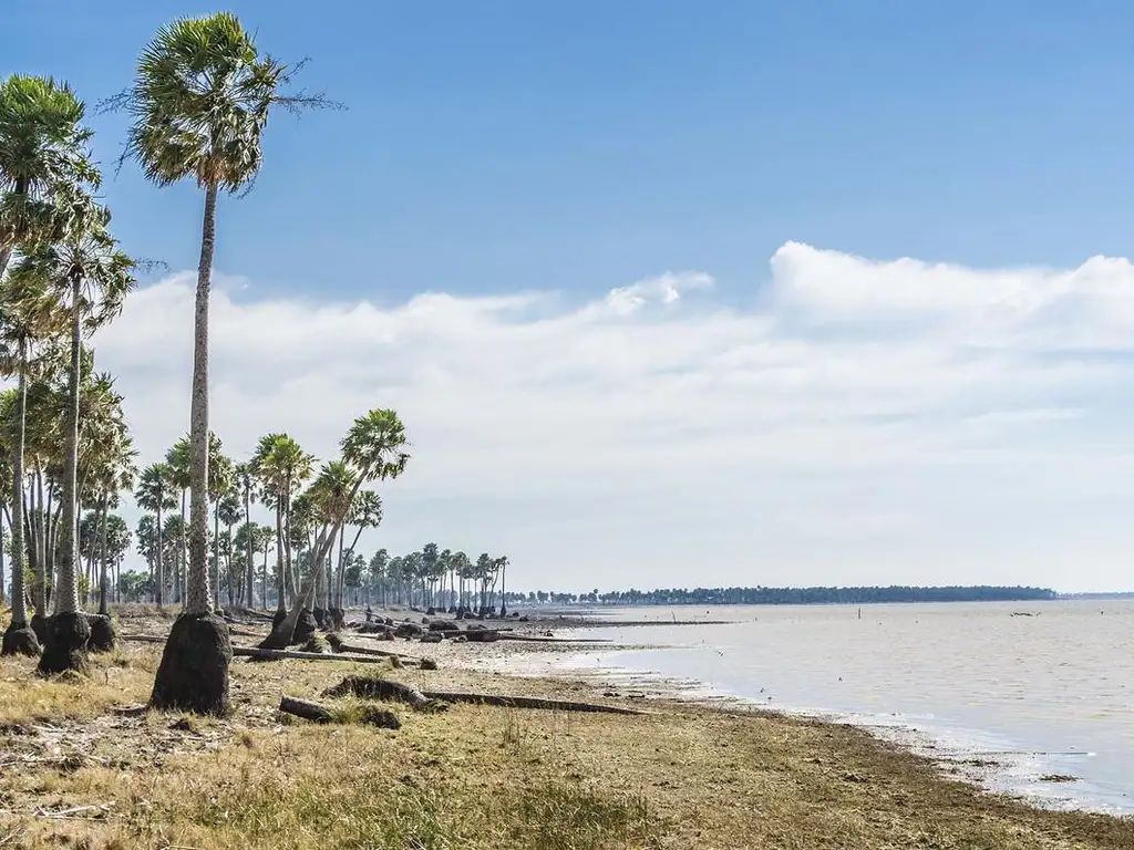 Campo de 7.000 ha en Venta - Vera, Santa Fe