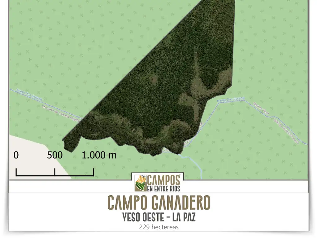 Campo GANADERO en Venta. 229 ha. Yeso Oeste, La Paz, Entre Rios