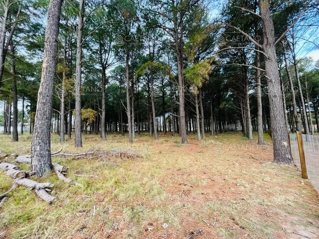 Terreno en Oportunidad Chacras del Pinar