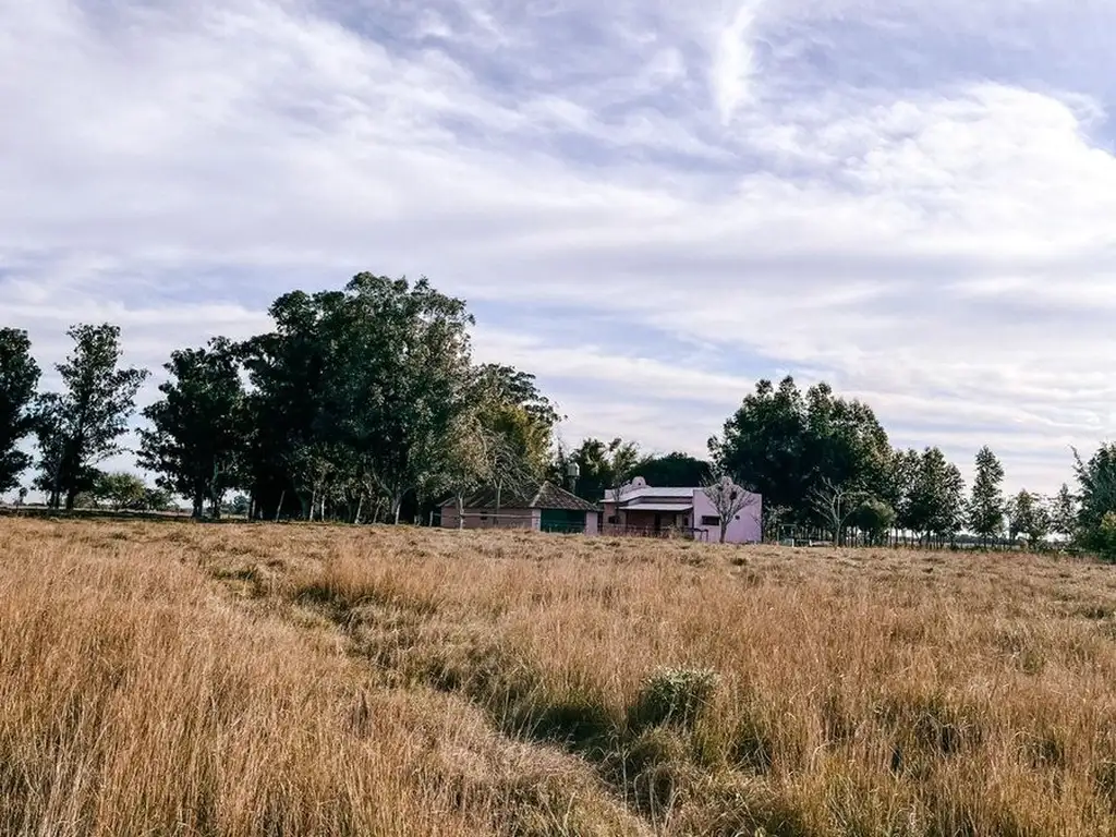 CAMPO EN VENTA CON CASA Y GALPON EN GOYA CTES