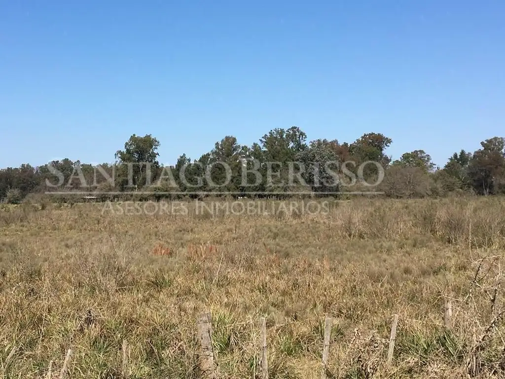 Terreno Campo  en Venta en Diego Gaynor, Exaltación de la Cruz, G.B.A. Zona Norte