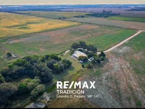 Campo en Venta – 77has Colonia José Mármol