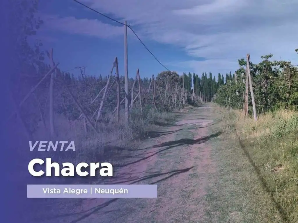 VENTA Chacra cerezas 7,99 ha Vista Alegre, Neuquén