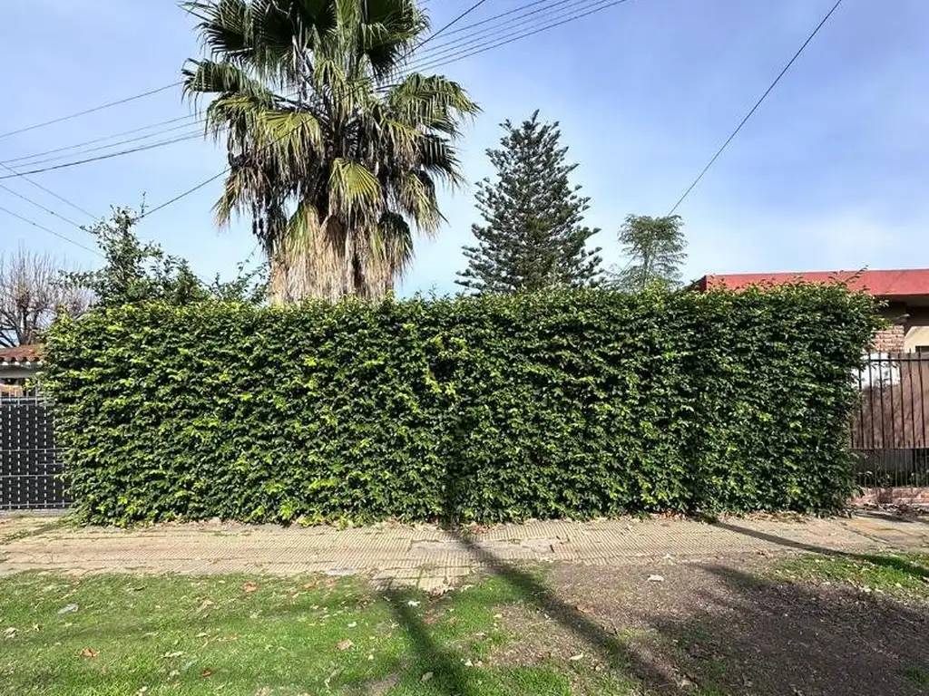 VENTA DE LOTE BALDIO EN LA MEJOR ZONA DE PADUA