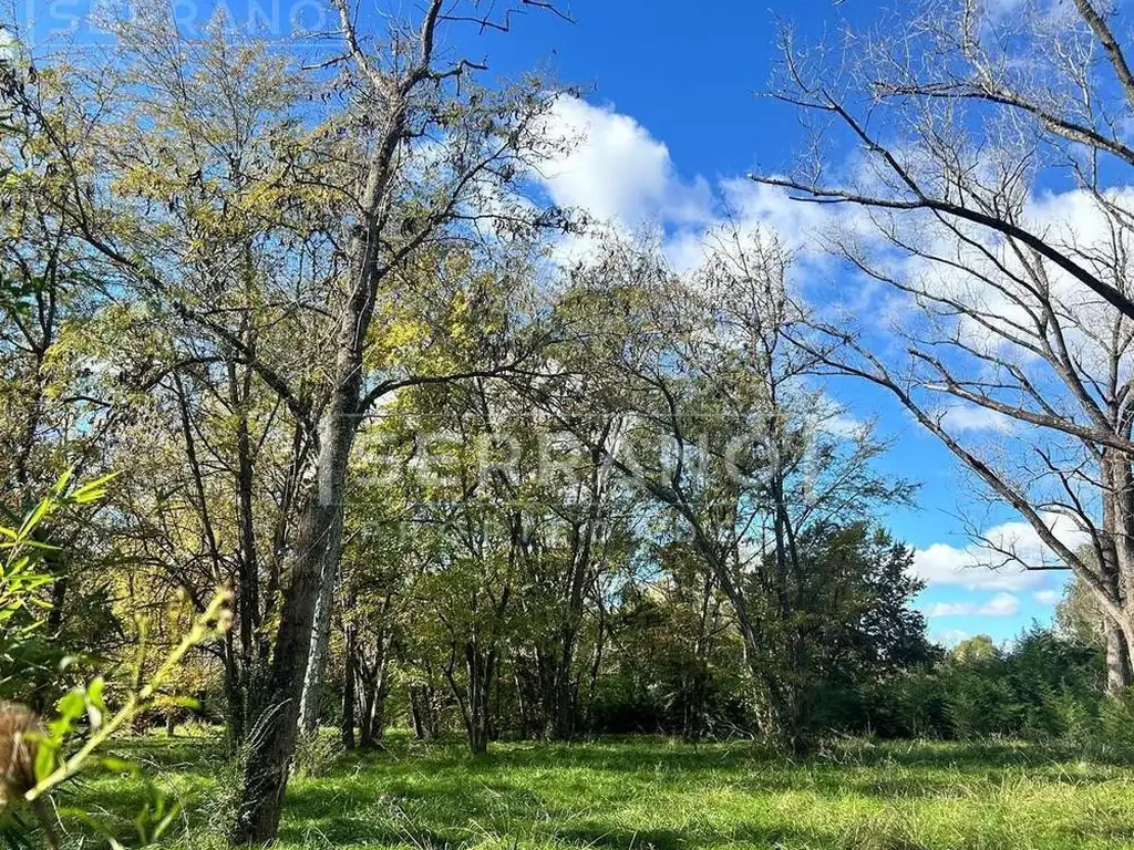 Venta. Lote arbolado. Calle principal. Los Pinos. Exaltacion de la Cruz