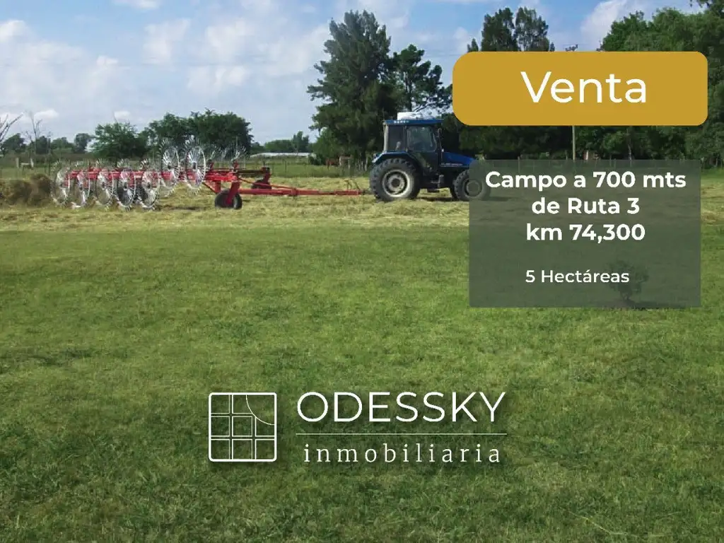 CAÑUELAS -CAMPITO DE 5 HA EN VENTA