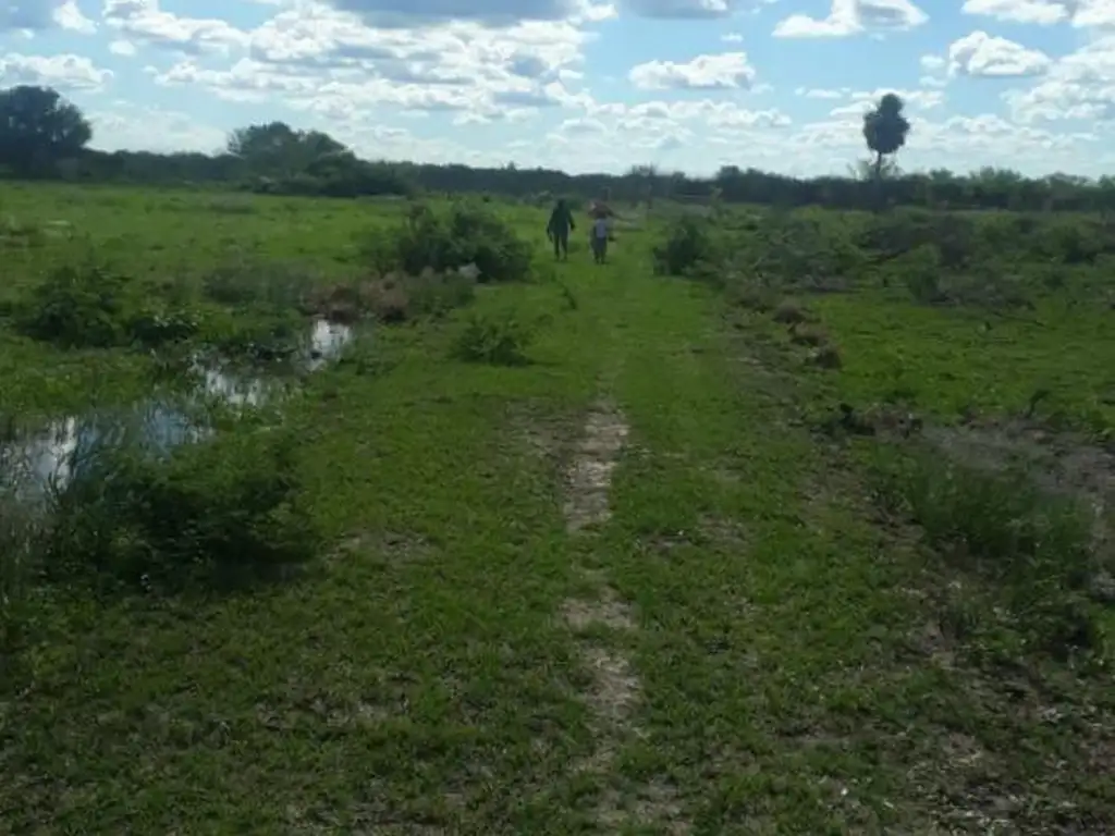 Vendo 920 Hectáreas En Puerto Bermejo Chaco