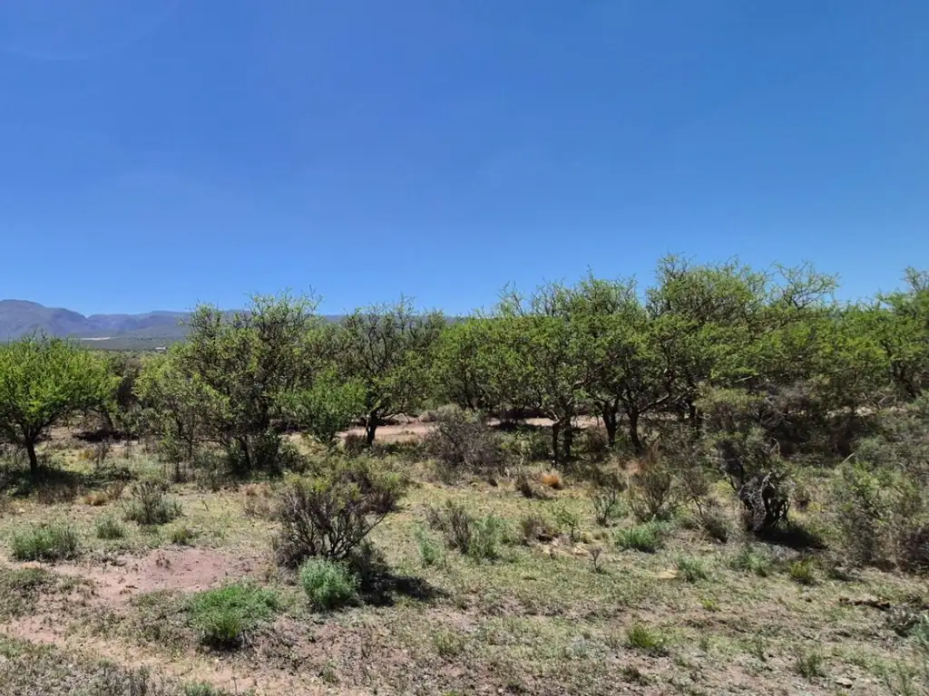 LA CUMBRE BARRIO SAN IGNACIO SUP. 1000 MTS C/ESCRITURA