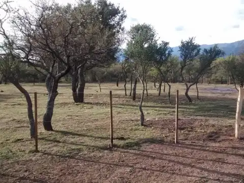 TERRENO EN LOS MOLLES - MERLO