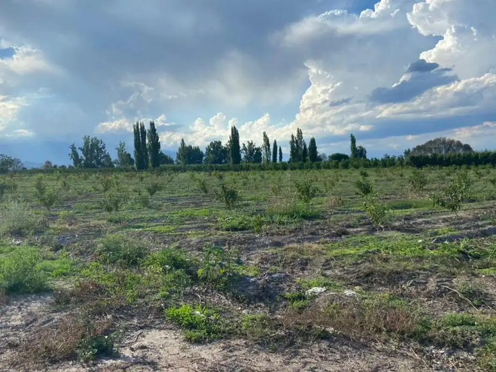 Venta Finca TUNUYAN Mendoza - Vista Flores