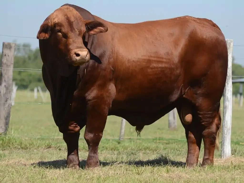 Estancia agrícola ganadera