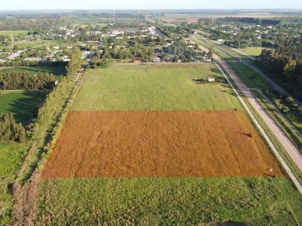 Campo agrícola 2,3 has en VENTA | Gobernador Castro