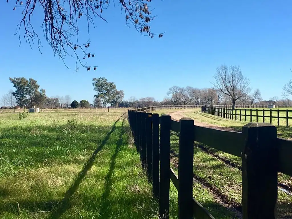 Terreno en Venta - Manzanares, Ruta 6 KM 172.5