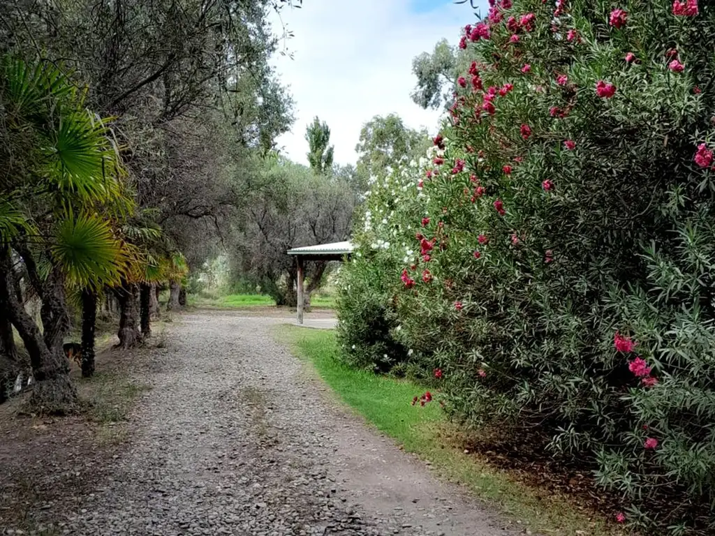 VENTA LOTE SALTO DE LAS ROSAS SAN RAFAEL MENDOZA