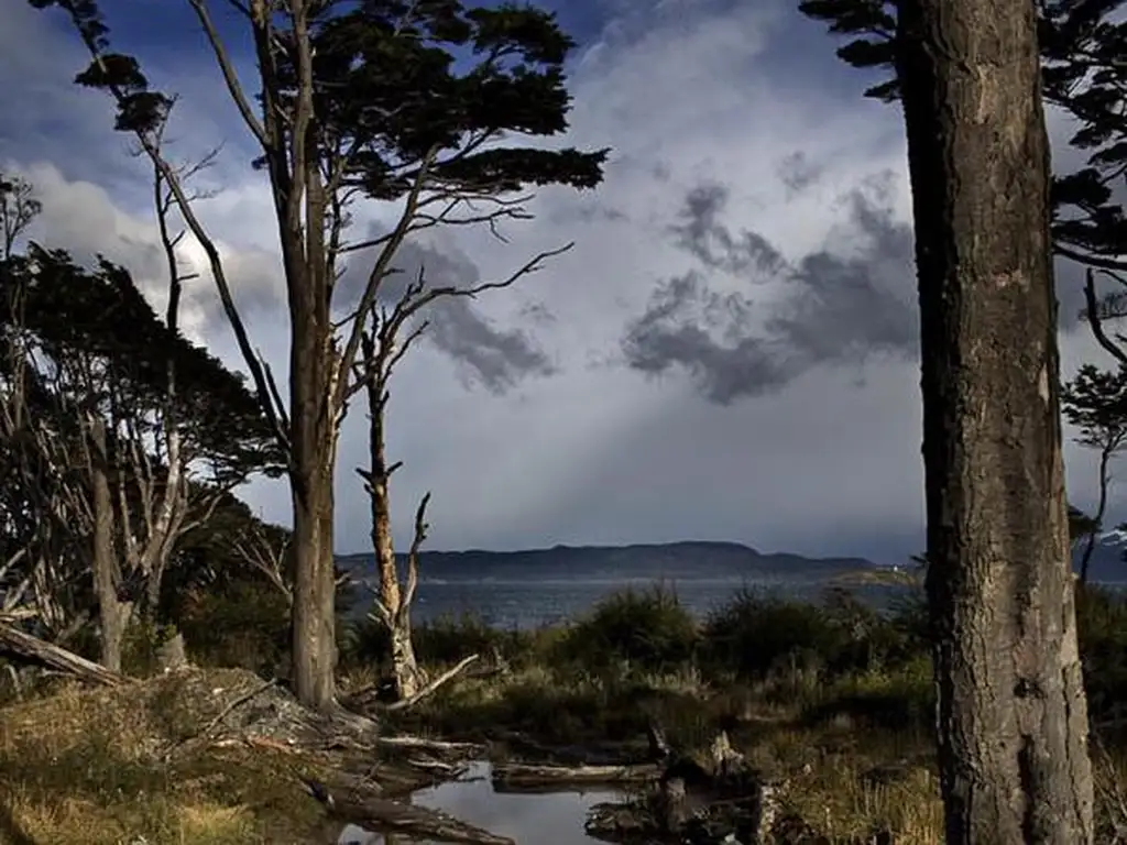 Campo - Ushuaia