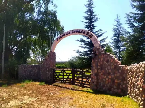 FINCA EN PRODUCCIÓN - TUNUYÁN