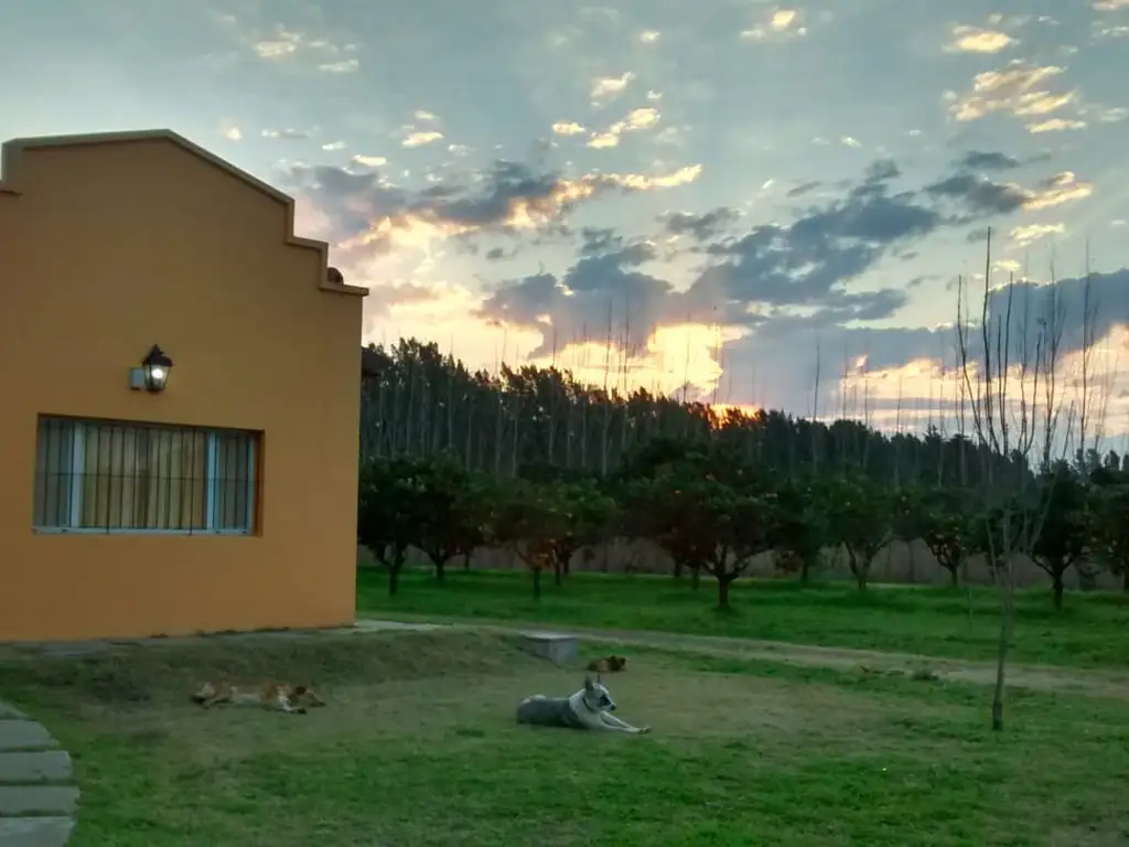 HERMOSA HECTAREA CON PILETA Y CASA