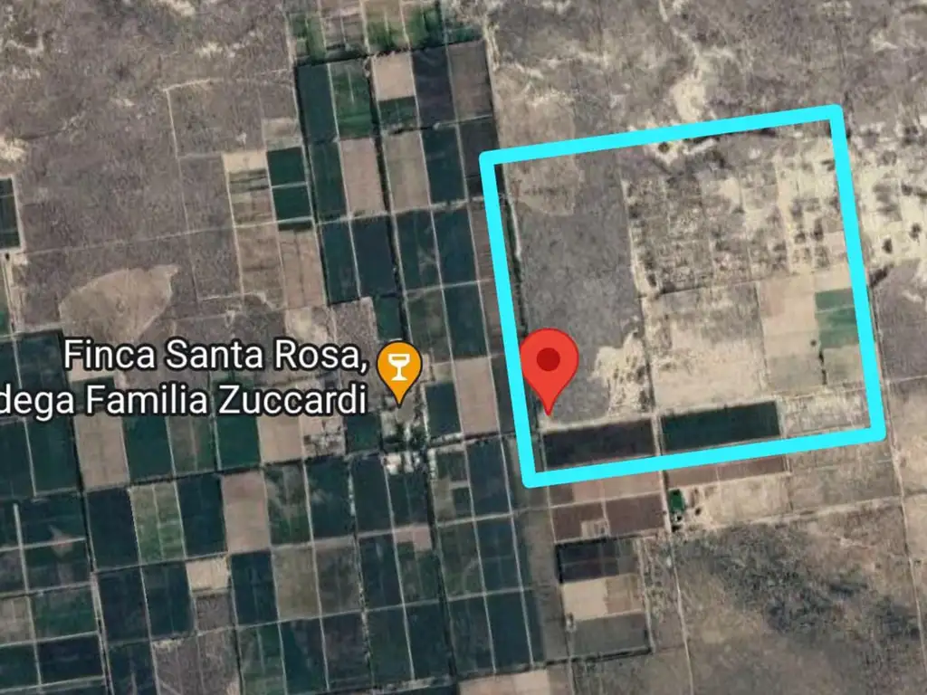 Venta Campo 75ha Santa Rosa Mendoza FINANCIACION