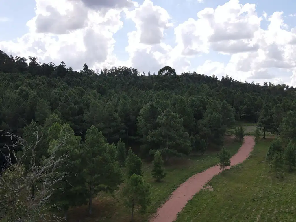 Quinta - Venta - Uruguay, Maldonado