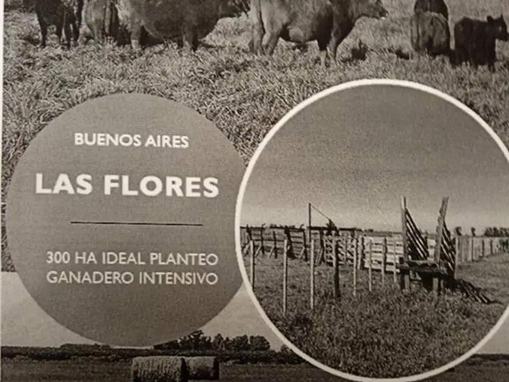 PROPIEDADES RURALES - GANADERA - LAS FLORES