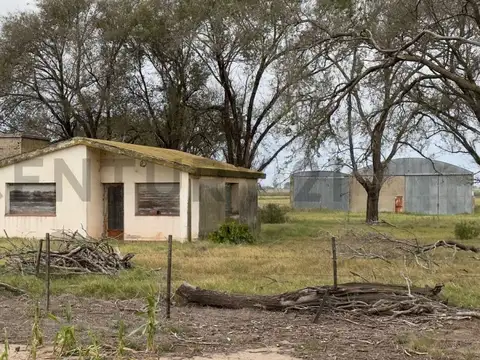 VENTA DE CAMPO EN GENERAL ROCA CORDOBA