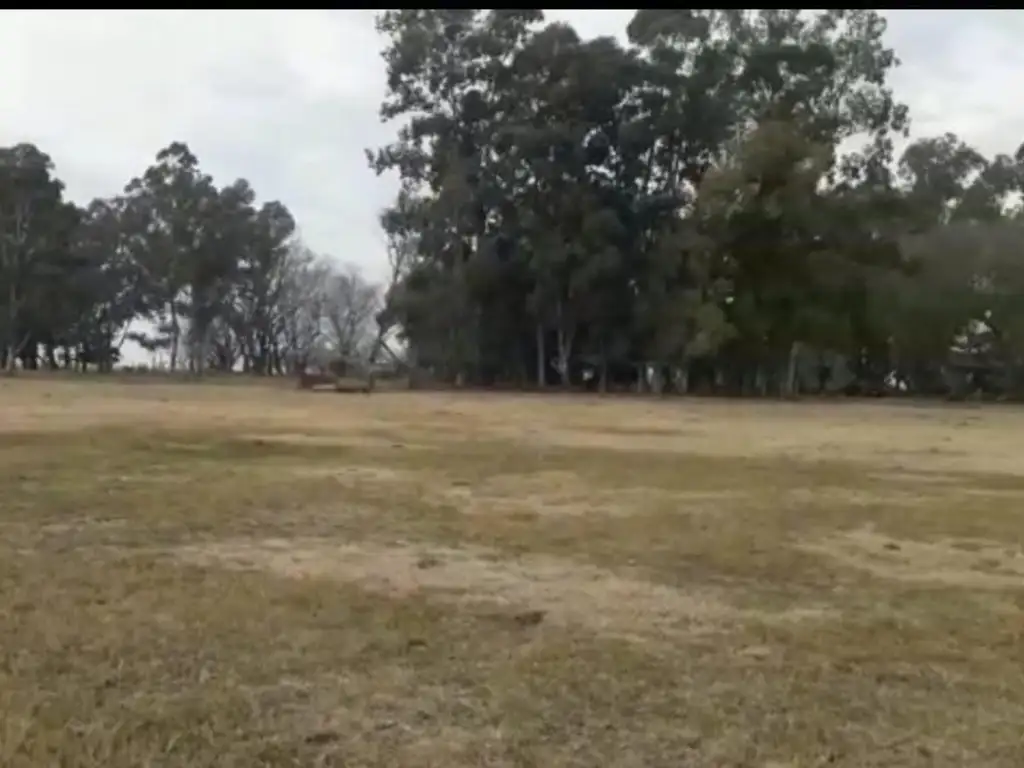 Campo  ganadero : Saladillo ,57,37 hectáreas