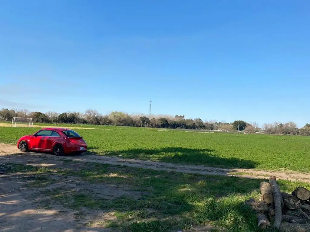 Campo (km49,5 altura instituto fleni)  50ha asfalto hasta la entrada