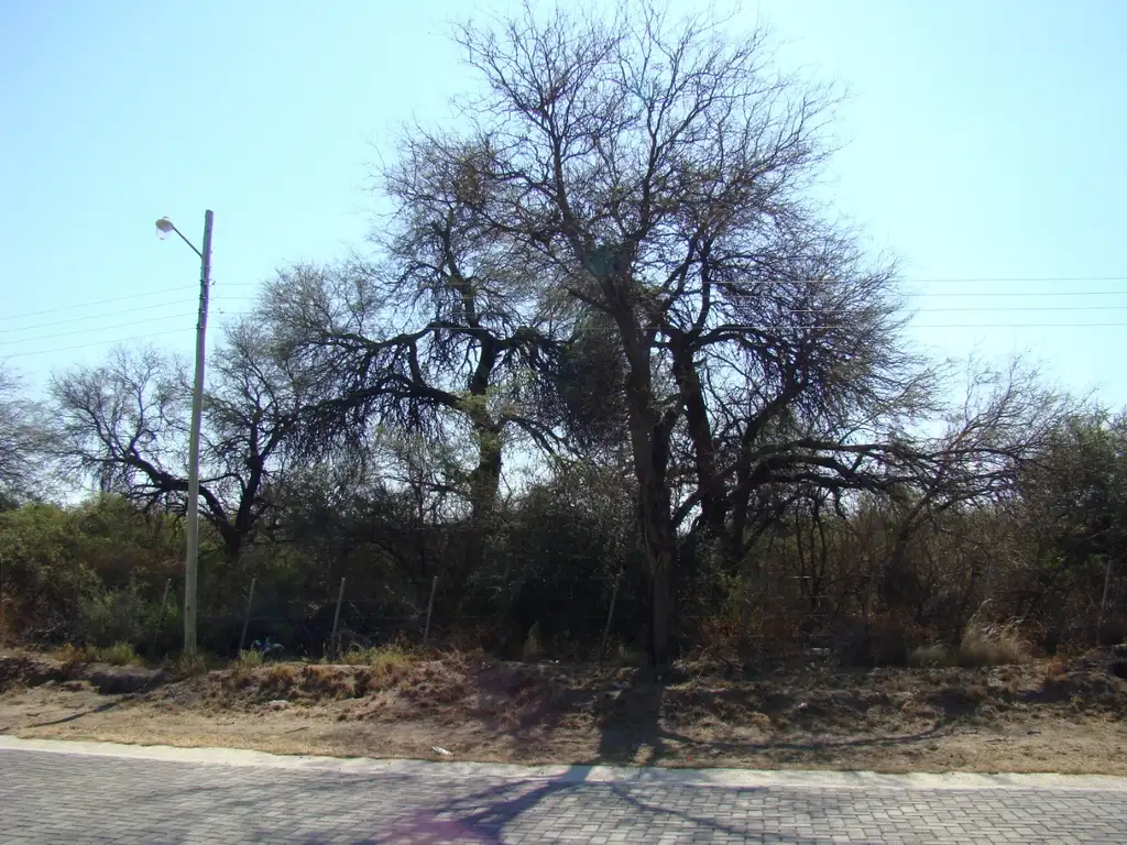 ULTIMOS TRES LOTES EN LA TRAVESÍA LUYABA TRASLASIERRA