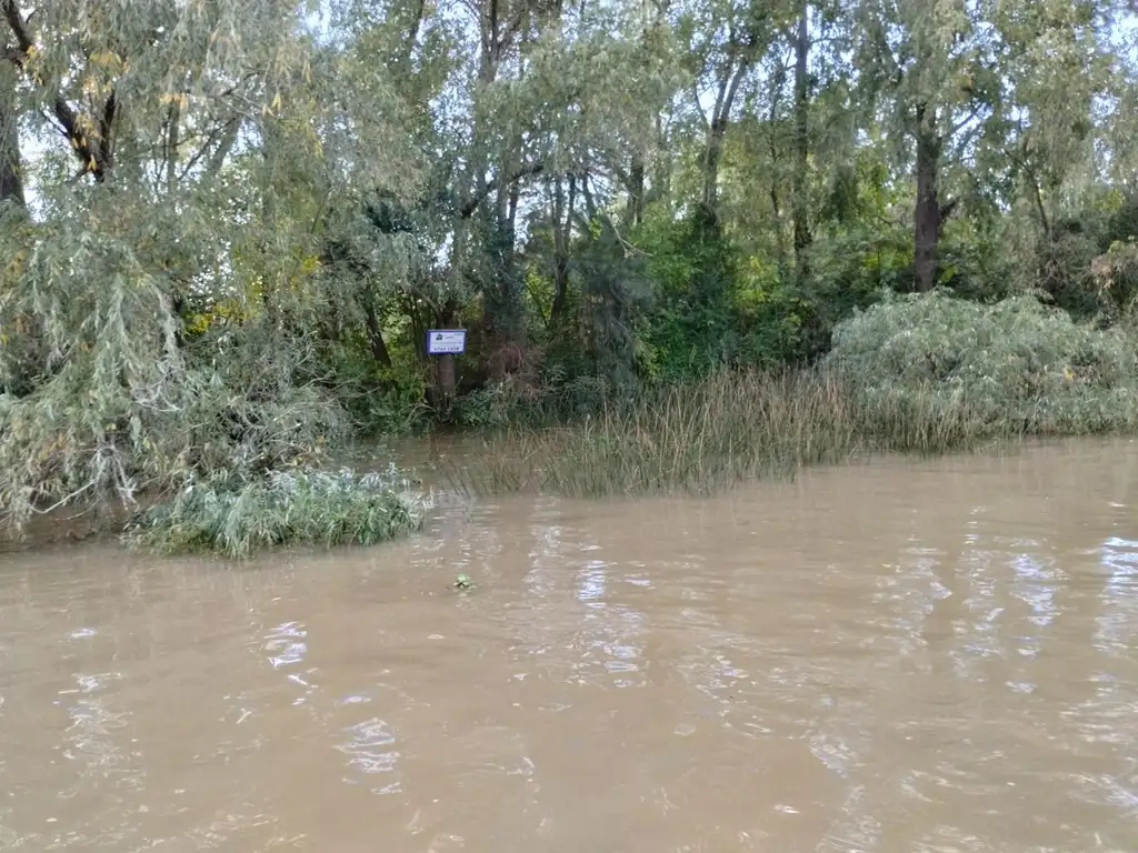 Terreno Lote  en Venta en Caraguatá, Zona Delta, Tigre