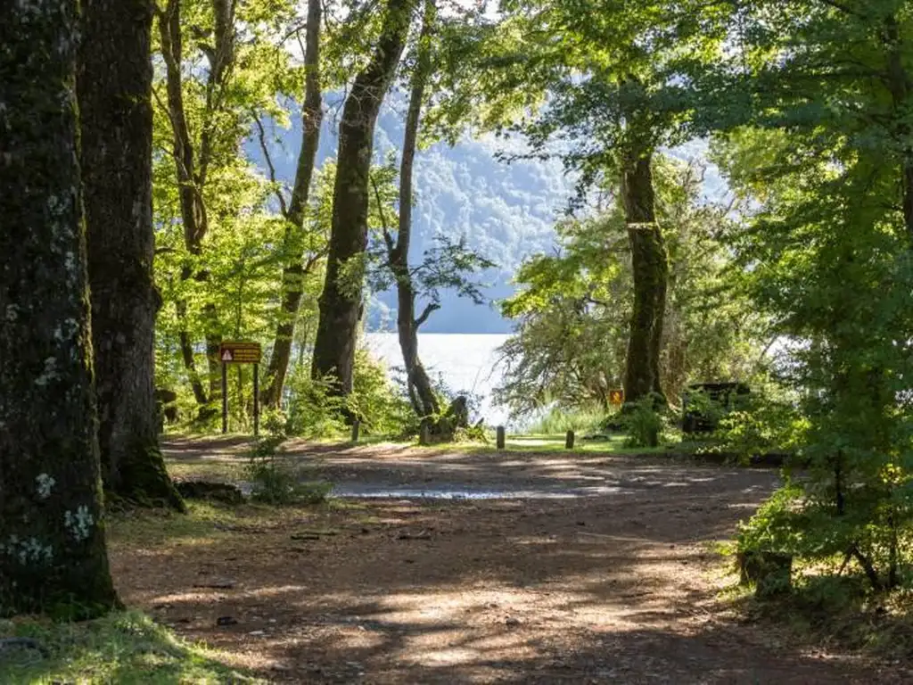 EN VENTA 1HECTÁREA EN QUILA QUINA  Lago Lácar San Martín de los Andes