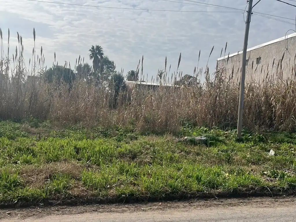 Terreno Lote  en Venta en José Melchor Romero, La Plata, G.B.A. Zona Sur