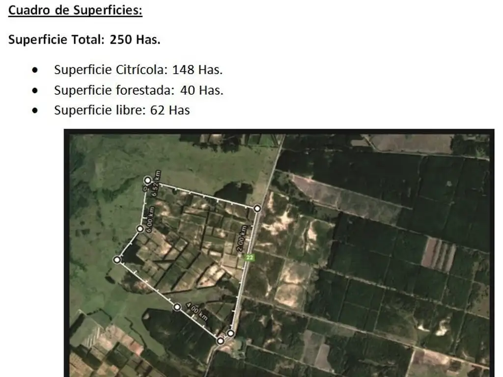 Quinta Cítrica Exportación UE : Aptitud Citrícola y Forestal