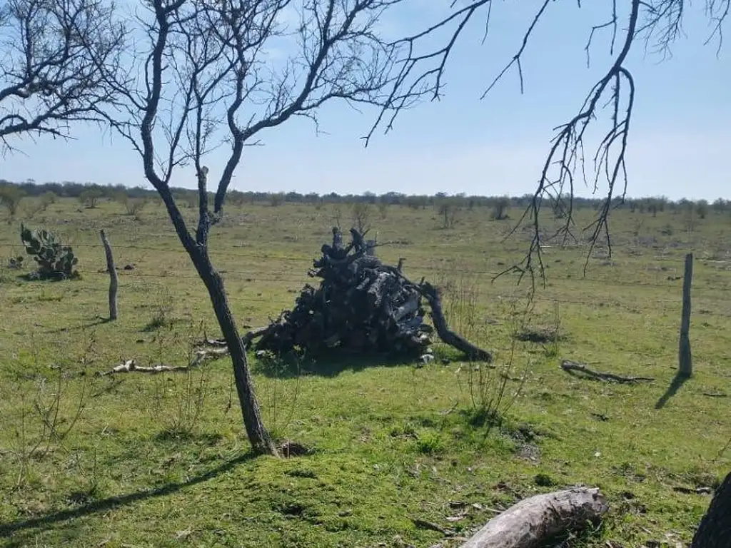 Se vende campo en bovril